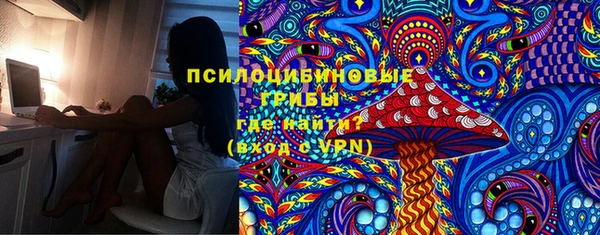 молекула духа Абинск