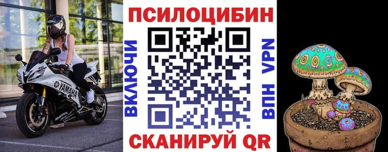 Галлюциногенные грибы Psilocybe  где найти   Донецк 