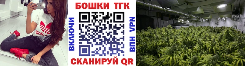 Бошки Шишки THC 21%  darknet клад  Донецк 